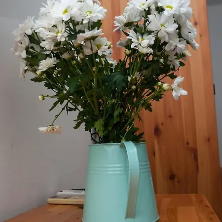 Indigo Affittacamere Spalato