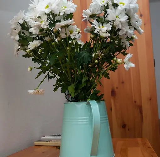 Indigo Gostinjska kuća Split